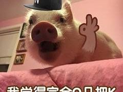 -魔方剧情密室(徐汇店)