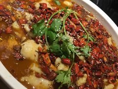 水煮龙利鱼-站前猪蹄&家常炒菜(长乐公园店)