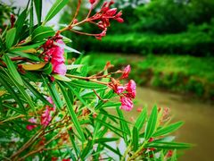 -上海崧泽遗址博物馆