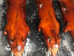 -黄记四更烤乳猪店