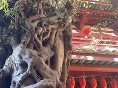 -叩齿古寺