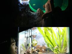 -台州海洋世界