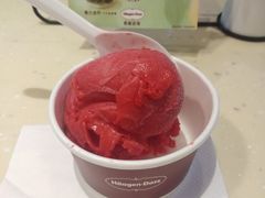 -哈根达斯(深圳海岸城店)