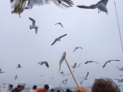 -海驴岛(荣成市)