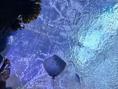 -南昌融创海世界