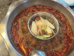 -金鼎雪山牦牛杂火锅(理县总店)