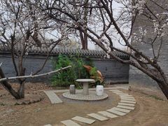 -万泉公园