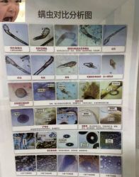 -Cream88颜皮肤管理中心