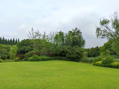 -东平国家森林公园