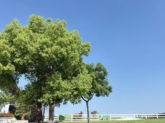-天目湖涵田度假村