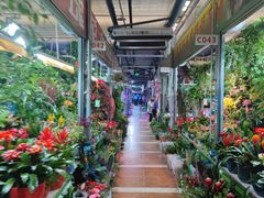 -朝来春花卉市场