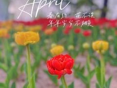 -迎泽公园