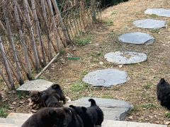 -杭州屏风山越野车营地·团建别墅轰趴民宿