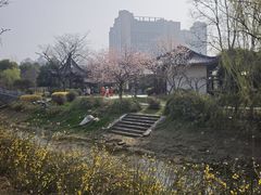 -堤角公园
