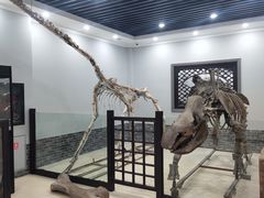 -游龙石文化科普馆