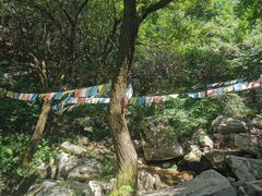 -抱龙峪