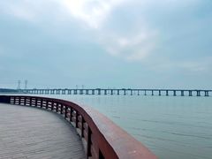 -宝安西湾红树林湿地公园