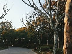 -黄兴公园