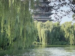 -济南大明湖景区