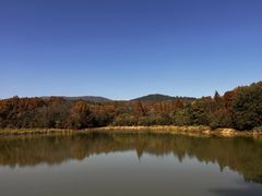 -紫金山山顶公园