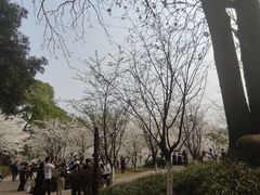 -南山植物园