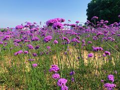 -雪浪山卡丁车俱乐部
