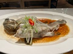 -滋粥楼·顺德菜(番禺广场总店)