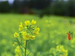 -长春公园(普阳街道)