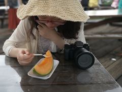 -富田农场