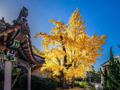 -青岛崂山太清宫