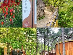 -洛阳白云山景区