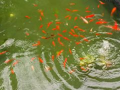 -瓯菜排档·温州海鲜(玕南店)