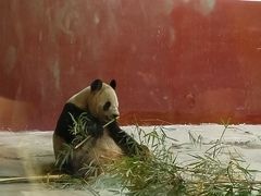 -杭州野生动物世界