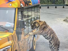 -大连森林动物园