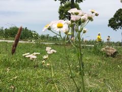 -上海都市菜园