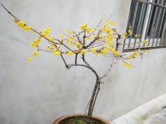 -高淳老街土菜馆(迎薰门店)