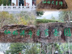-姑婆山旅游区