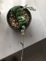 -木易造型工作室