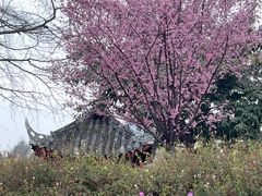 -成都市文化公园