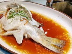 清蒸鲈鱼-良记小馆