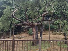 -草庵摩尼教遗址公园