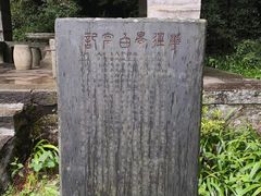 景点-庐山风景区花径公园