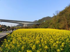 -贵阳市花溪国家城市湿地公园