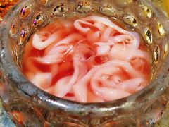 鲜鸭肠-重庆渝达老火锅(春熙路店)