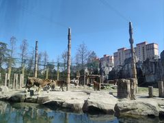-上海野生动物园