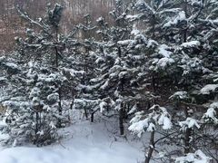 -终南山南五台景区