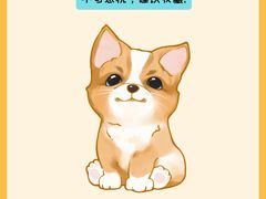 -翊宠yipet猫狗购宠庄园犬舍•猫舍