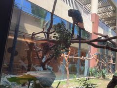 -麒麟中餐厅·经典粤菜·地道菜式老字号(广州长隆酒店)