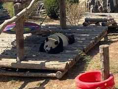 -大连森林动物园