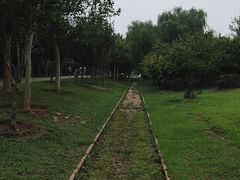 -永定河休闲森林公园